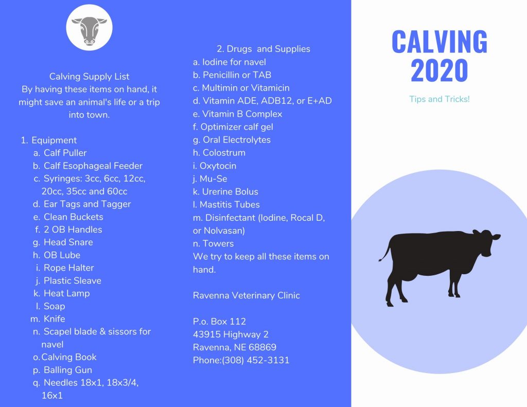 Calving Tips For Ravenna Vet Clinic